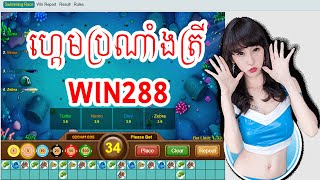 ហ្គេមប្រណាំងត្រីអនឡាញ win2888 | Swimming Race win2888 casino online game