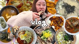 [먹방vlog] 이번주 제가 먹은것들을 소개합니다🐷 새해도 돼지력 상승🧏🏻‍♀️ (굽네치킨,팔당 매운오징어,코다리조림,왕갈비탕,칼국수,삼계탕,치킨마요덮밥,비냉,만두)