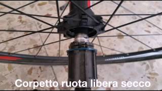 Come smontare e ingrassare il corpetto Ruota libera x ruote Campagnolo/Fulcrum