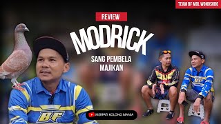 GREBEK KANDANG MODRICK Team BF MDL Wonosobo sang pemborong trophy disetiap giringan