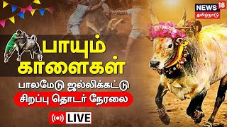 🔴 Palamedu Jallikatu LIVE | மதுரை பாலமேடு ஜல்லிக்கட்டு சிறப்பு நேரலை | Madurai | News18 Tamil Nadu