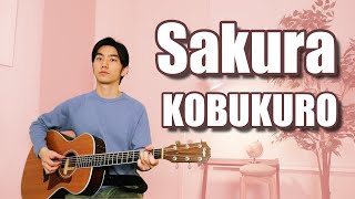 Sakura (KOBUKURO) Cover【Japanese Pop Music】