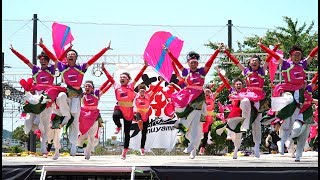 [4K]ひなた　2017犬山踊芸祭 2日目 石作公園メイン会場（中央）