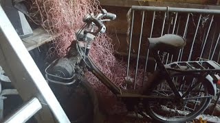 Scheunenfund Solex  Baujahr 1974 sollte wieder auf die Straße .