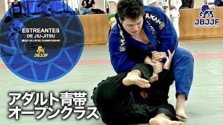 【JBJJF西日本新人選手権2017】アダルト青帯オープンクラス