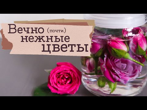 Японское колдовство — пробую стабилизацию цветов Masherisha