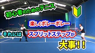 初心者のためのテニス　楽しく続けるボレーボレー、ランダムバージョン。Tennis Rise テニス・レッスン動画