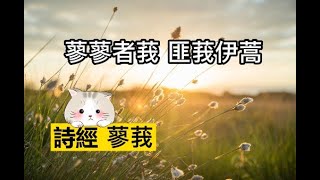 詩經 蓼莪，背古文就是潮，朗讀，腹有詩書氣自華，培養小孩閱讀素養，學生必學經典。我愛古文。【YoYo】