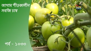 Deepto Krishi/দীপ্ত কৃষি - আগাম শীতকালীন সবজি চাষ | রংপুর | deepto tv | পর্ব-১০৩৩