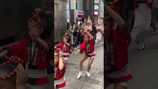 【オープニング|高円寺パル商店街】美しい女踊り 阿波おどり 飛鳥連 【高円寺フェス2023】