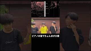 実際には聞こえないはずのちょんまげ小僧の挨拶が聞こえてくる動画#shorts#ちょんまげ小僧