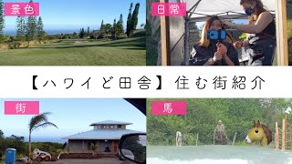 【ハワイのど田舎生活】私が住む街を紹介＆ファーマーズマーケットで散髪