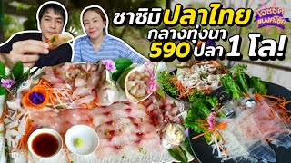 ร้านซาชิมิปลาไทย กลางทุ่ง 590 ได้ปลา 1โล หมึกซาชิมิตัวเท่าแขน | ไอซ์ซัด! แบงค์โซ้ย