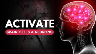 Neuron Activation Frequency: Activate Brain Cell Music