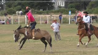 ARIZTEGUI EN GUALEGUAYCHU RUEDO DON EMILIO CARRERAS DE RISSO Y CARDONA   TIEMPO DE HIPICA DICIEMBRE