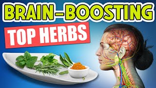 Top 10 Herbs For Brain Inflammation Nobody Is Talking About