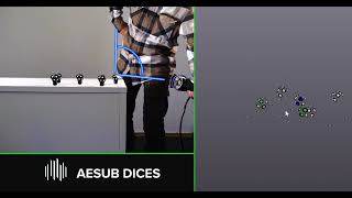 AESUB Dice: How It Works