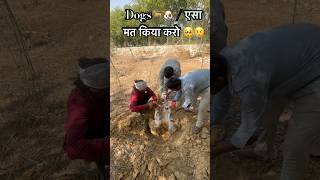 भगवान इस कुत्ते 🐶 की आत्मा को शांति दे 🥺🙏🏻 #viral #sad #shorts #trending #dog #god #shanti