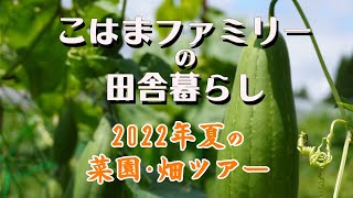 【古民家で自給自足＆田舎暮らし】2022年夏の自給自足ファミリーの菜園/食育/畑ツアー