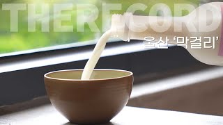 [The Record] Korea's Gourmet Life, Korea's Traditional Alcoholic Drink, Makgeolli from Ulsan