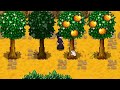 Today I Learned Stardew Valley  86 Tips and Things You May Not Know