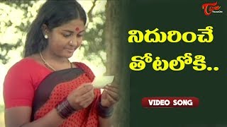 నిదురించే తోటలోకి   | Mutyala Muggu Melody Hits  | Sridhar, Sngeeta | Old Telugu Songs