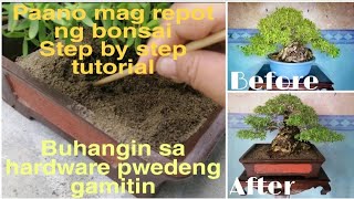 Paano mag repot ng bonsai/ Bonsai repotting, step by step tutorial.Bantigue( Pemphis acidula)