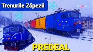 Trenurile Zapezii 2022 / PREDEAL