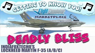 The Noob Gets DEADLY BLISS in the F-35  | User Manual Walkthrough (Session1)