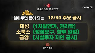 알아두면 돈이 되는 12/30 주요 공시(태성, 소룩스, 금양)