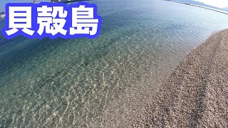 【湾奥】ちびっこが喜ぶクルージングポイント　貝殻島　南極探査船