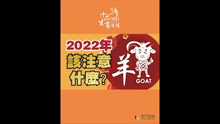 【1991年未羊】2022壬寅虎年運程 - GOAT Year 1991｜2022 Zodiac Animals Forecast