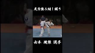 足刀後ろ廻し蹴り 山本 健策 選手 #karate #shorts