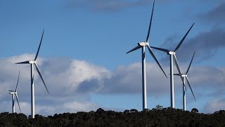 'You can't run an electricity grid on make-believe': Kenny
