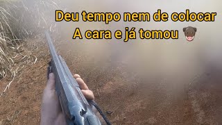 Caçada de javali #caiu mais três #javali @AquiTemJavali @javalisa