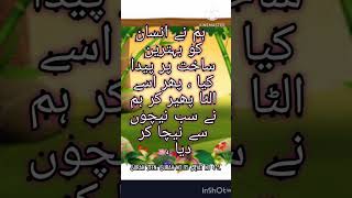 Surah At-teen ayaat #islamicvideo #surahatteen