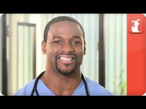 How to Cut My Pet's Nails - Ask A Vet How to Cut My Pet's Nails - Ask A Vet