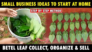 Betel Leaf Farm | How To Collect, Organize \u0026 Sell Betel Leaf | Small Business Ideas To Start at Home