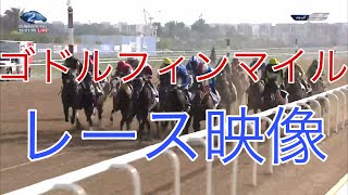 ゴドルフィンマイル2022レース映像