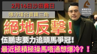 【賽馬貼士】2月16日 爆冷場合買鐵三角｜絕地反擊！｜伍鵬志要力追頭馬爭冠！最近極積極操馬唔通想爆冷？！