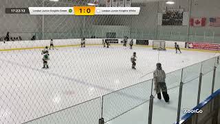 Highlights vs London Junior Knights White - WIN 3-1 - 01-26-25