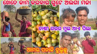 ଆମର ଘରର ଚାଷ କାମ କରମା//GHARR KAM KARBAR GUTE ALGA MAJA AE / SAMBALPURI VLOG@NIRANJANKUMBHAR