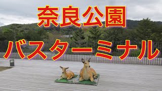 奈良公園バスターミナルを散歩