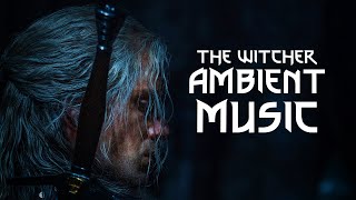 The Witcher Netflix | 1 Hour | Calm/Emotional Music | Tavern Ambience