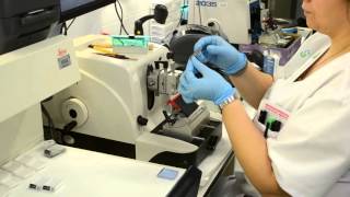 AIDPATH - HISTOLOGICAL TISSUE SAMPLE PREPARATION