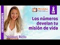 Los números develan tu misión de vida por Yasmari Bello