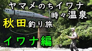 新幹線と岩魚釣り／秋田釣り旅イワナ編／2022年7月フライフィッシング