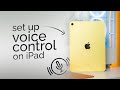 How to Set Up Voice Control on iPad (tutorial)