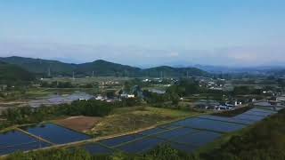 blue and green from iwate