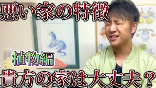 【●の家には絶対住むな】霊媒師直伝！運気が悪い家\u0026その対策　〜サボテン編〜